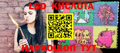 гашик Малоярославец