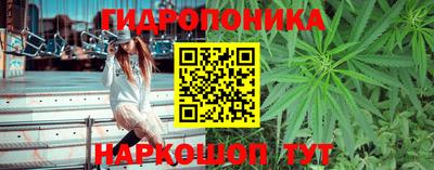 гашик Малоярославец
