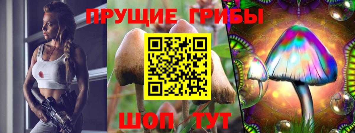 сколько стоит  Вход с VPN  Вичуга  Псилоцибиновые грибы прущие грибы 
